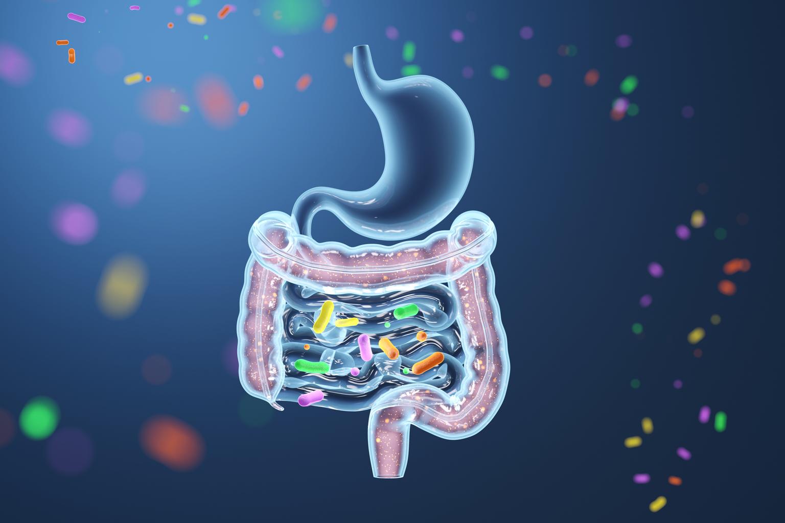 Probiotics Capsules كبسولات البروبيوتيك
